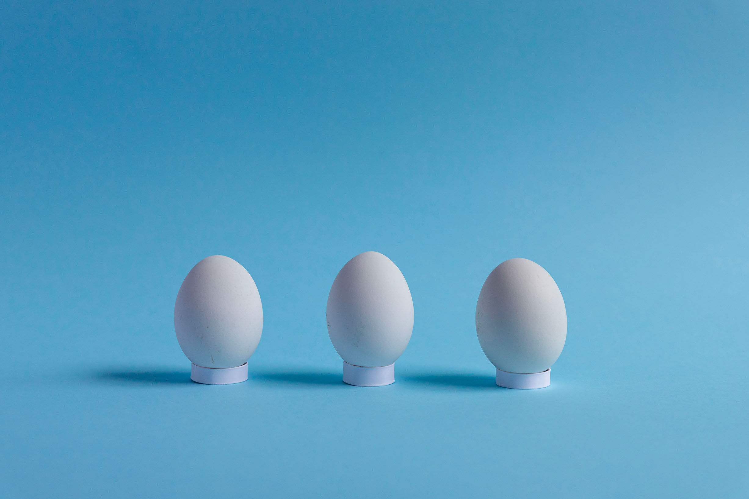 eggshot1