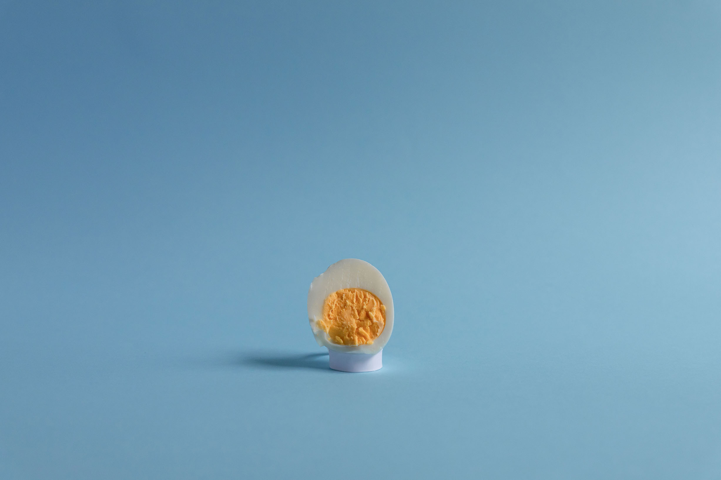 eggshot10
