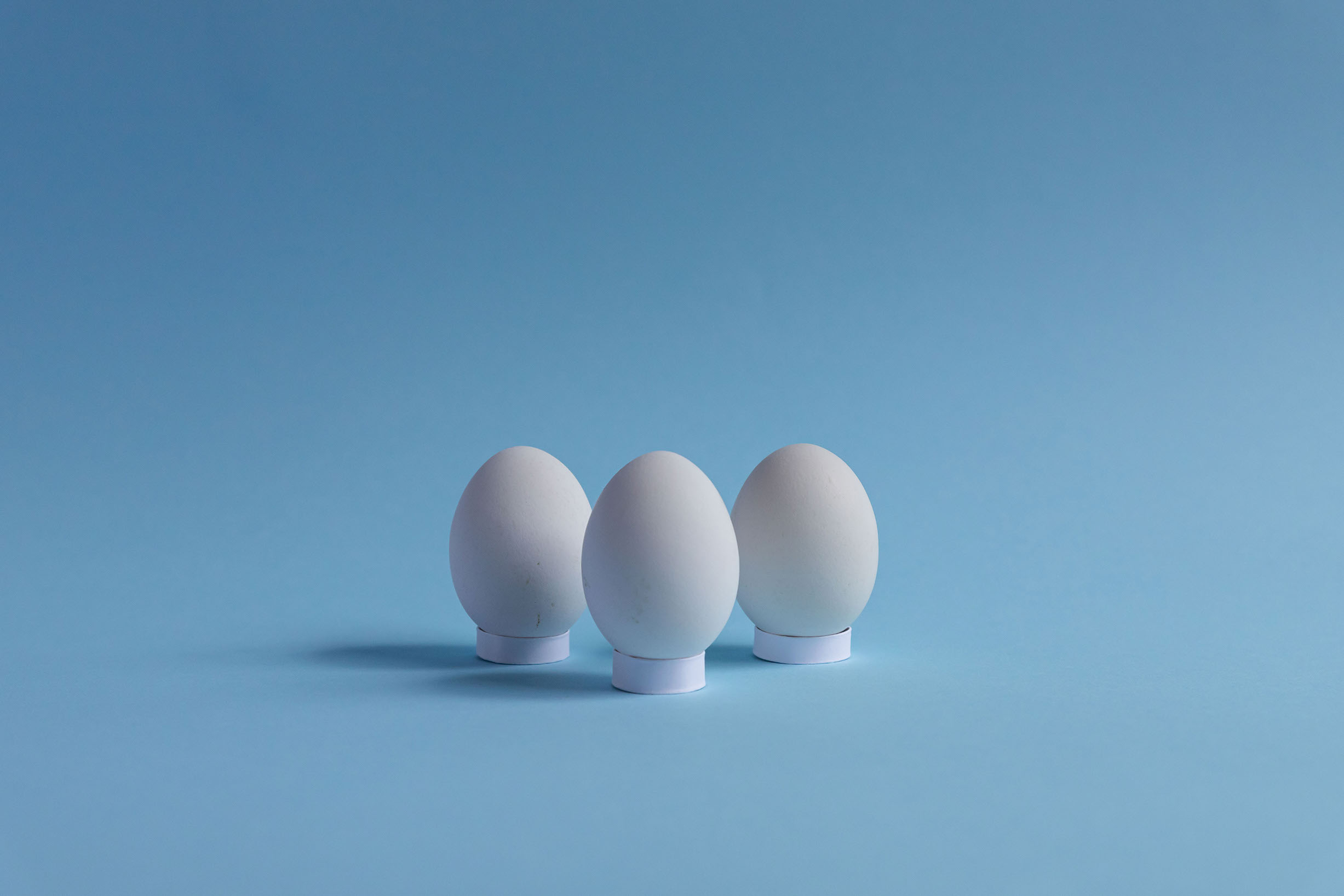 eggshot3