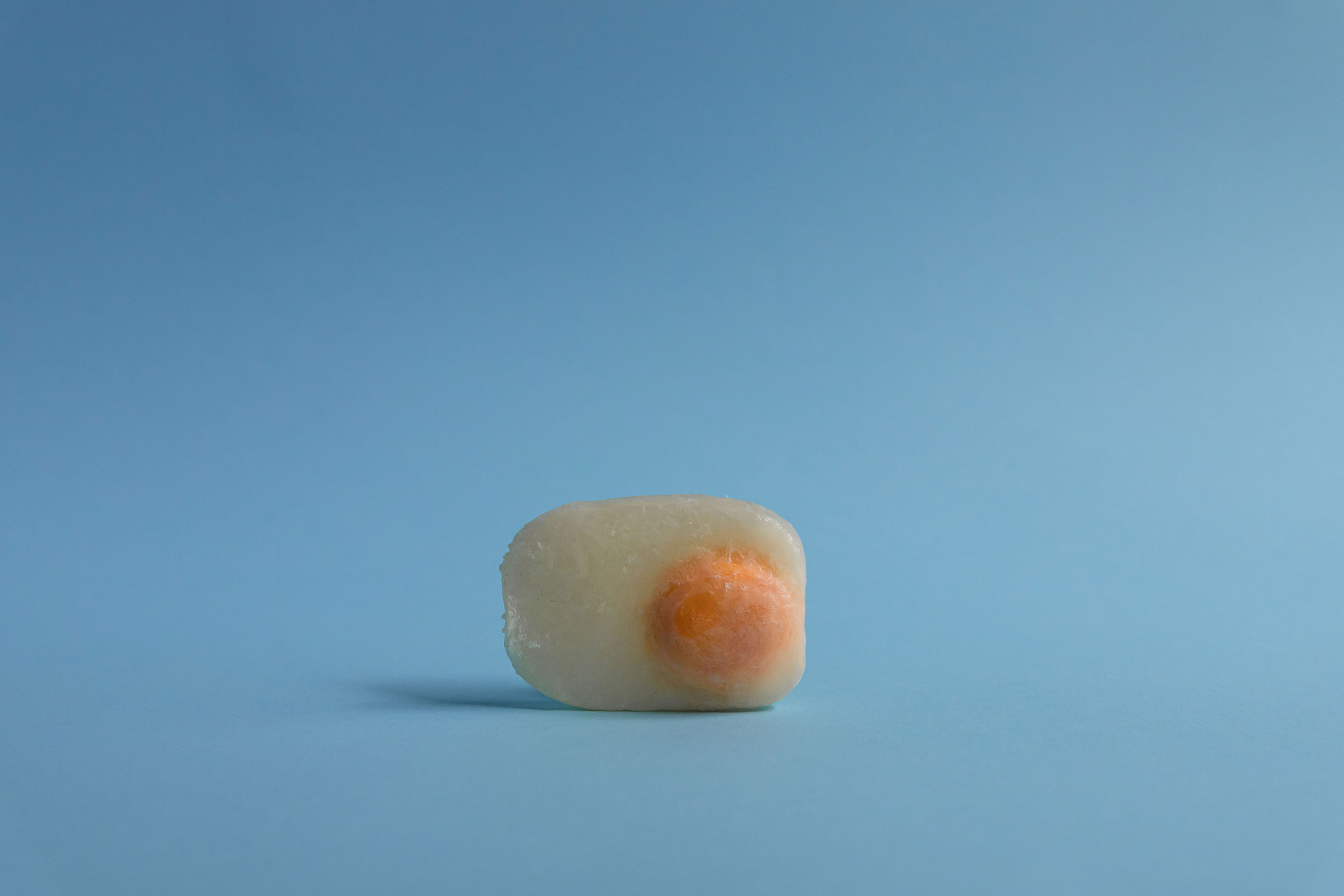 eggshot5