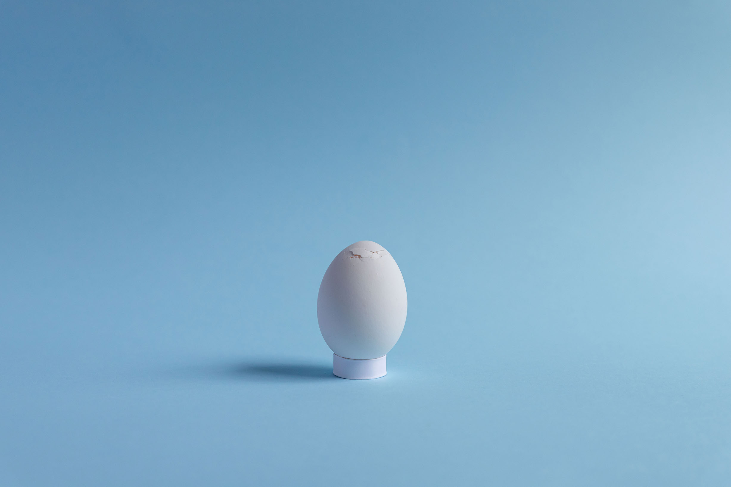 eggshot6