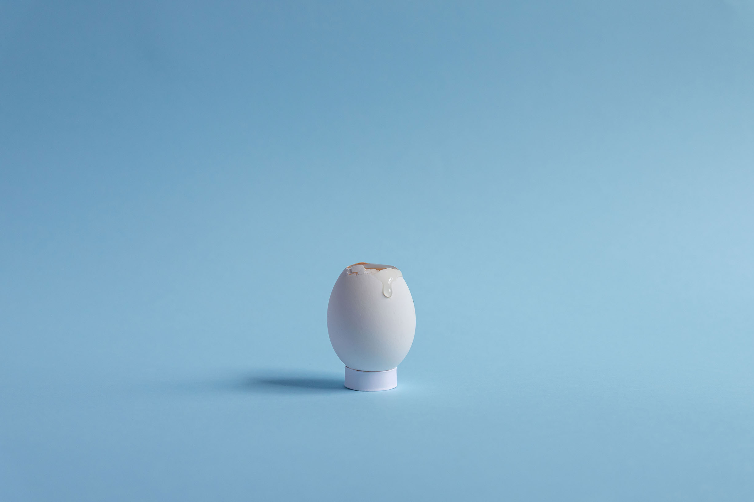 eggshot7
