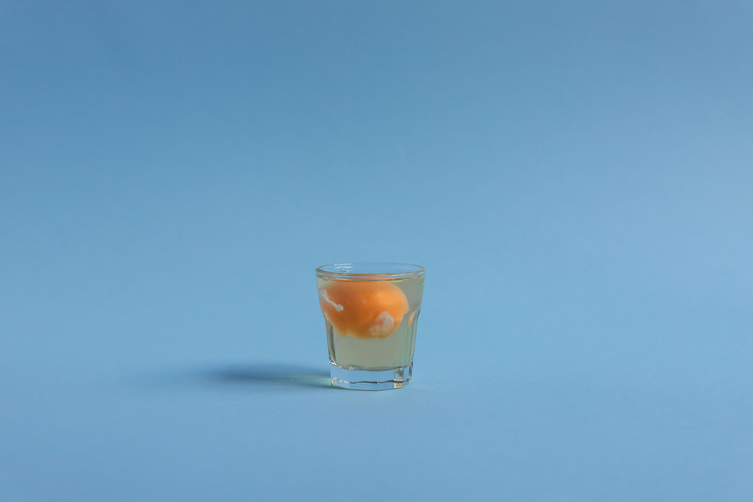eggshot8