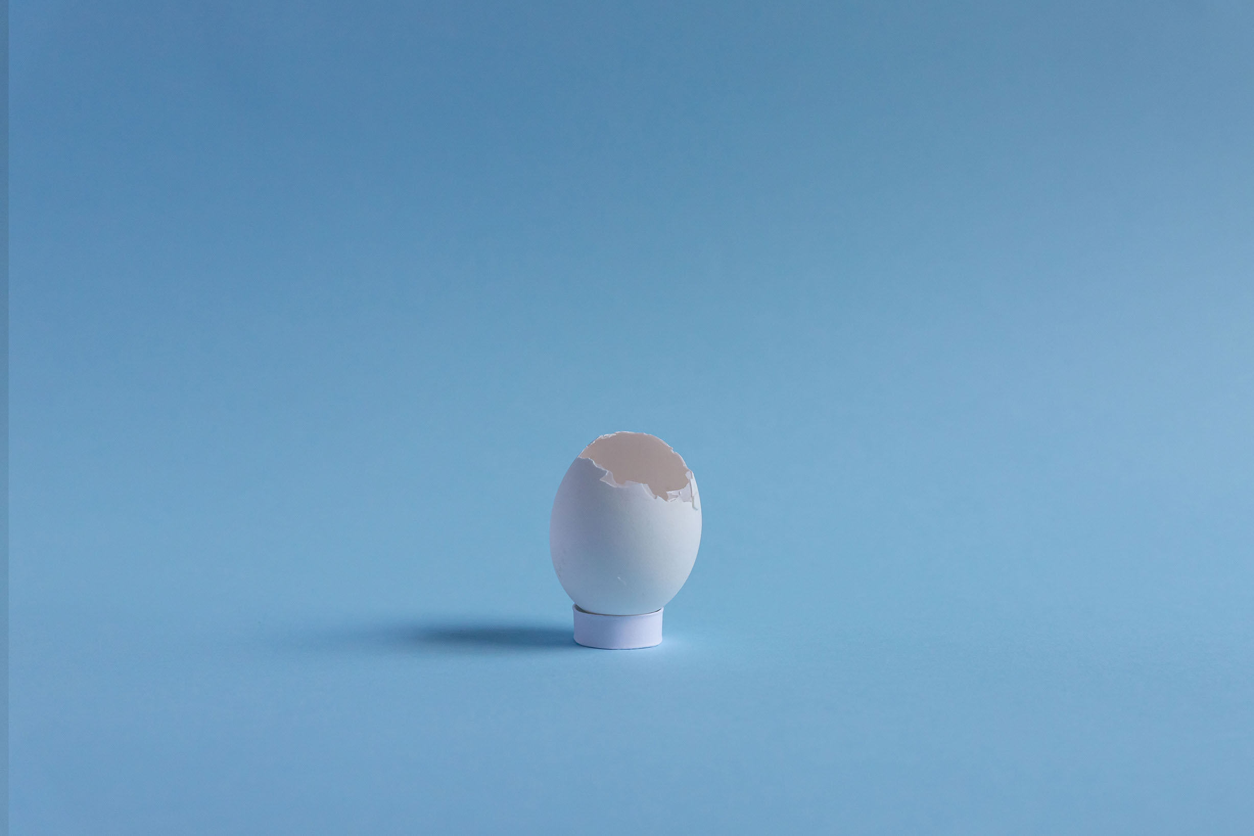 eggshot9